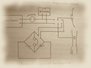 The Electrophonic Sound Produced by Electrical Stimulation